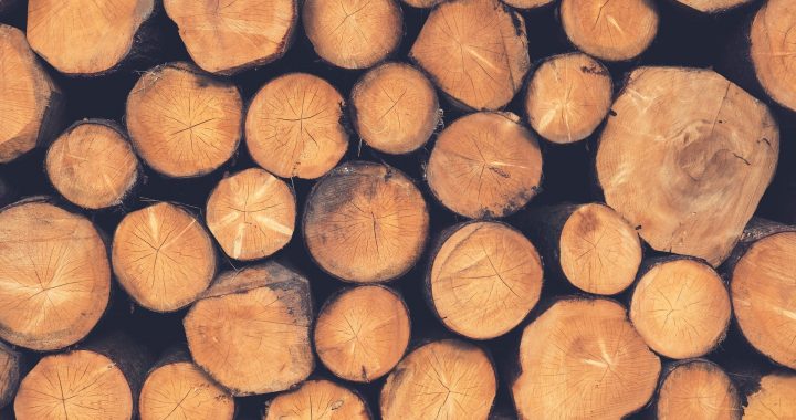 The Purpose and Benefits of Timber Oil