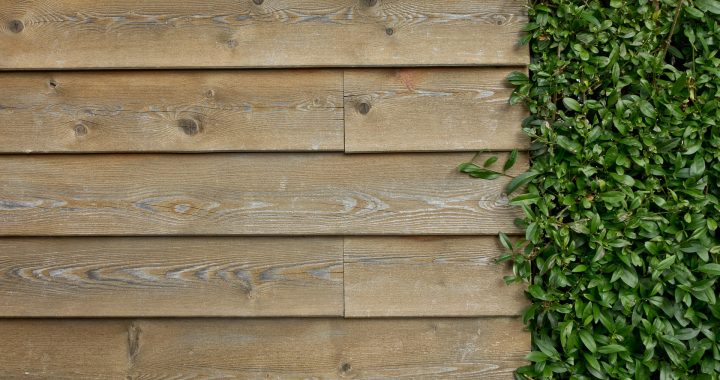 Maintaining Your Fence With Natural Oils